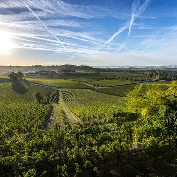 Activité Insolite en région Centre Activité Insolite en région Centre
