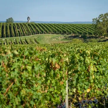 Urbain en région Centre Urbain en région Centre