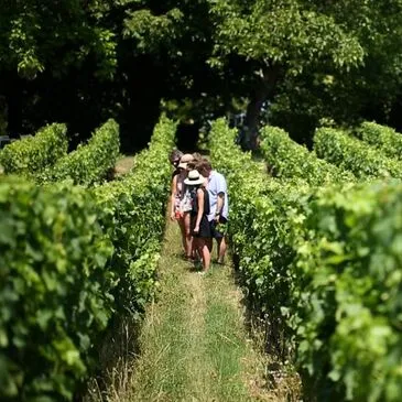Réserver Activité Insolite département Indre et loire Réserver Activité Insolite département Indre et loire