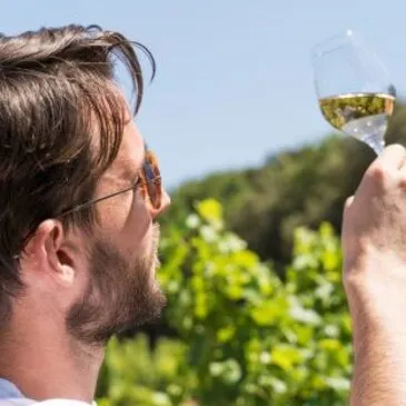 Balade Culturelle et Dégustation de Vins à Châteauneuf-du-Pape Balade Culturelle et Dégustation de Vins à Châteauneuf-du-Pape