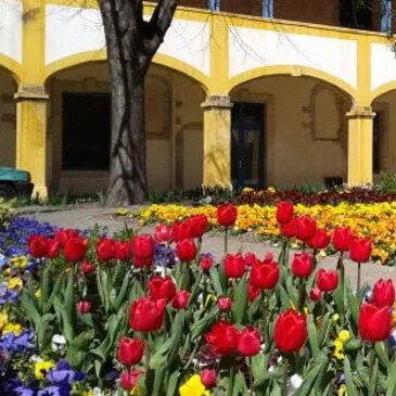 City Tour proche Châteauneuf-du-Pape, à 30 min d'Avignon City Tour proche Châteauneuf-du-Pape, à 30 min d'Avignon