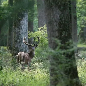 Réserver City Tour département Indre et loire Réserver City Tour département Indre et loire