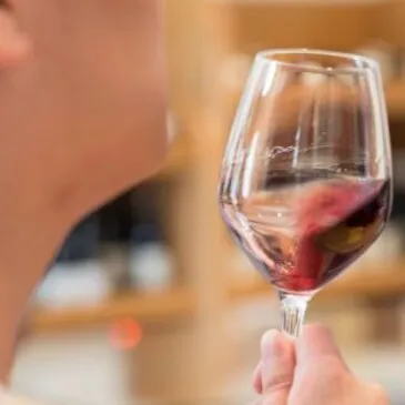 Aix-en-Provence, Bouches du Rhône (13) - Activité Insolite Aix-en-Provence, Bouches du Rhône (13) - Activité Insolite