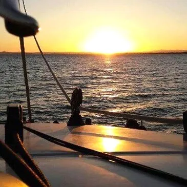 Balade en bateau, département Gard Balade en bateau, département Gard