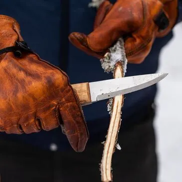 Week end en région PACA et Corse Week end en région PACA et Corse