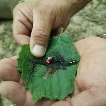 Saône et loire (71) Bourgogne - Week end Saône et loire (71) Bourgogne - Week end