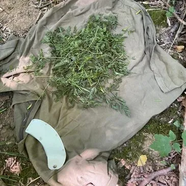 Week end en région Bourgogne Week end en région Bourgogne