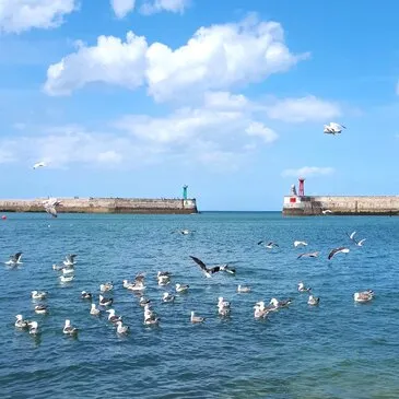 Jet ski Scooter des mers proche Port de Deauville, à 10 min de Trouville-sur-Mer Jet ski Scooter des mers proche Port de Deauville, à 10 min de Trouville-sur-Mer