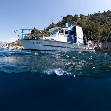 Snorkeling en région PACA et Corse Snorkeling en région PACA et Corse