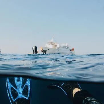 Var (83) PACA et Corse - Sport Aquatique Var (83) PACA et Corse - Sport Aquatique