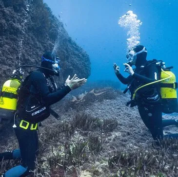 Brevet de Plongée Niveau 1 à Villeneuve-Loubet Brevet de Plongée Niveau 1 à Villeneuve-Loubet