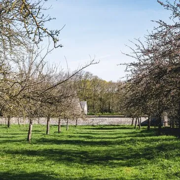 Cours d'œnologie en région Normandie Cours d'œnologie en région Normandie