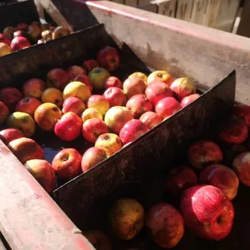 Vesly, à 10 min de Gisors, Eure (27) - Cours d'œnologie Vesly, à 10 min de Gisors, Eure (27) - Cours d'œnologie