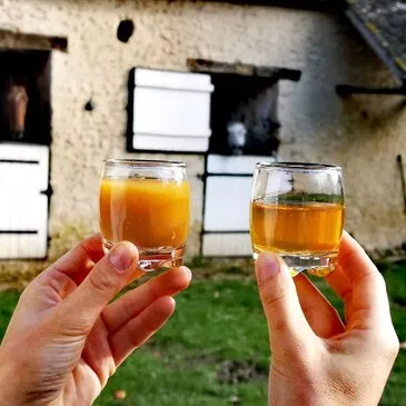 Réserver Cours d'œnologie en Normandie Réserver Cours d'œnologie en Normandie