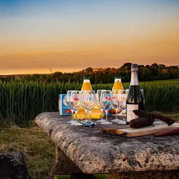 Sport Aérien en région Lorraine Sport Aérien en région Lorraine