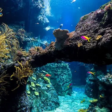 Hendaye, Pyrénées atlantiques (64) - Balade en bateau Hendaye, Pyrénées atlantiques (64) - Balade en bateau