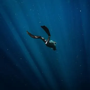 Baptême de plongée proche Froidchapelle, à 45 min de Maubeuge Baptême de plongée proche Froidchapelle, à 45 min de Maubeuge