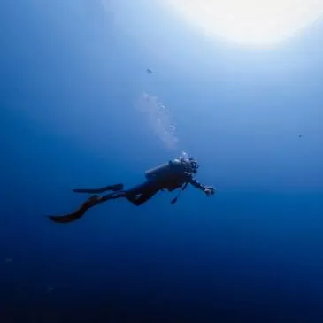 Baptême de Plongée près de Maubeuge en région Nord-Pas-de-Calais Baptême de Plongée près de Maubeuge en région Nord-Pas-de-Calais