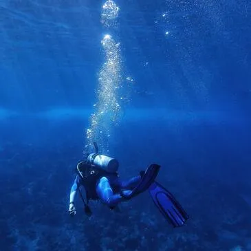 Sport Aquatique en région Nord-Pas-de-Calais Sport Aquatique en région Nord-Pas-de-Calais