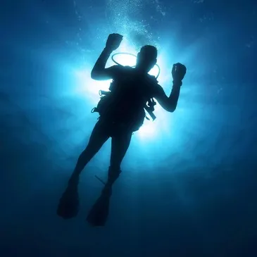 Baptême de plongée proche Froidchapelle, à 45 min de Charleroi Baptême de plongée proche Froidchapelle, à 45 min de Charleroi