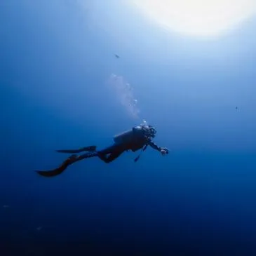 Sport Aquatique en région Belgique Sport Aquatique en région Belgique