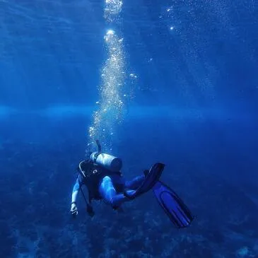 Réserver Baptême de plongée département Brabant Wallon Réserver Baptême de plongée département Brabant Wallon