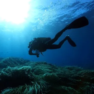Offrir Brevet de Plongée Sous Marine département Pas de calais Offrir Brevet de Plongée Sous Marine département Pas de calais