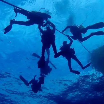 Brevet de Plongée Sous Marine proche Roeux, à 30 min de Lens Brevet de Plongée Sous Marine proche Roeux, à 30 min de Lens