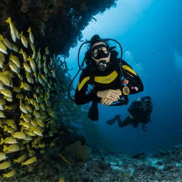 Réserver Brevet de Plongée Sous Marine département Pas de calais Réserver Brevet de Plongée Sous Marine département Pas de calais