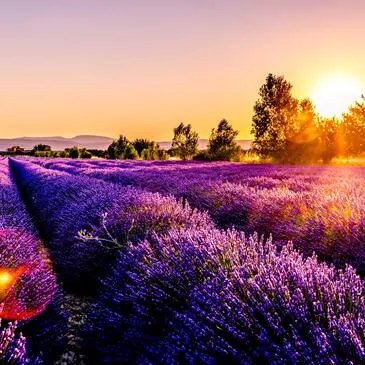 Réserver Week end Gastronomique en PACA et Corse Réserver Week end Gastronomique en PACA et Corse