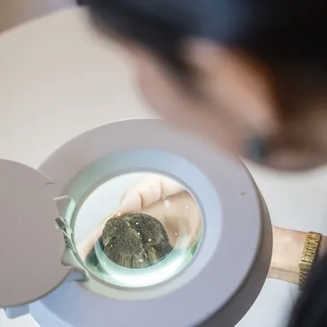 Offrir Cours de Cuisine département Drôme Offrir Cours de Cuisine département Drôme