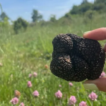 Drôme (26) Rhône-Alpes - Urbain Drôme (26) Rhône-Alpes - Urbain