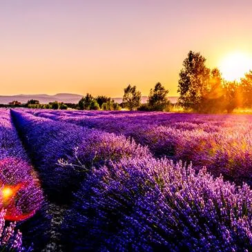 Alpes de Haute Provence (04) PACA et Corse - Week end Alpes de Haute Provence (04) PACA et Corse - Week end