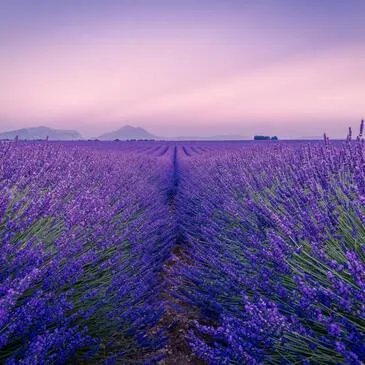 Week end en Amoureux, département Alpes de Haute Provence