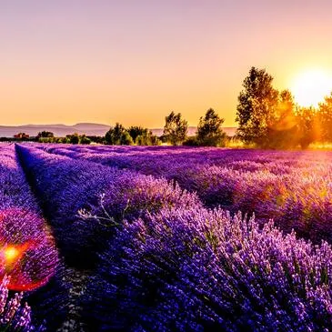 Week end en Amoureux en région PACA et Corse Week end en Amoureux en région PACA et Corse