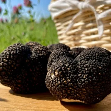 Cours de Cuisine en région PACA et Corse Cours de Cuisine en région PACA et Corse