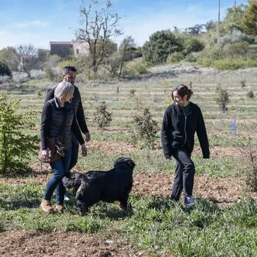 Cours de Cuisine, département Drôme Cours de Cuisine, département Drôme