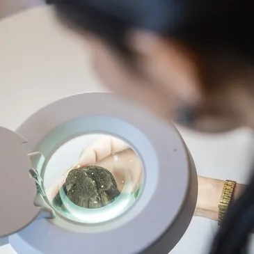 Cours de Cuisine Autour de la Truffe près de Pierrelatte Cours de Cuisine Autour de la Truffe près de Pierrelatte