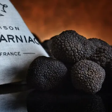 Cours de Cuisine Autour de la Truffe près de Bollène en région PACA et Corse Cours de Cuisine Autour de la Truffe près de Bollène en région PACA et Corse