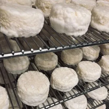 Haute Garonne (31) Midi-Pyrénées - Urbain Haute Garonne (31) Midi-Pyrénées - Urbain