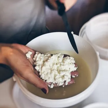 Haute Garonne (31) Midi-Pyrénées - Urbain Haute Garonne (31) Midi-Pyrénées - Urbain