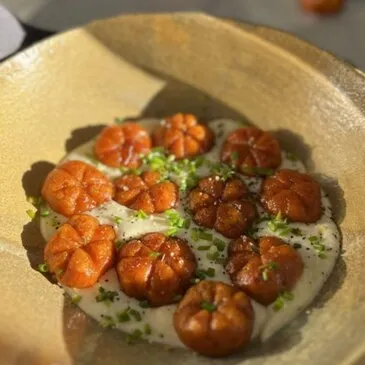 Cours de Cuisine Végétarienne à Lille 