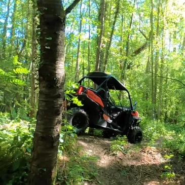 Randonnée en Buggy près de Lille