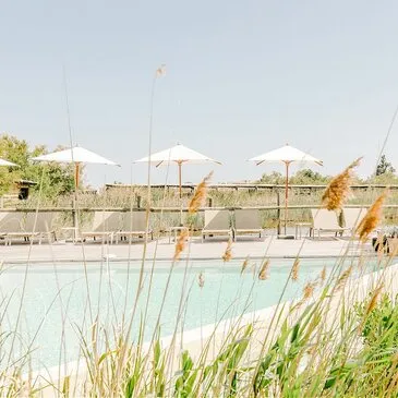 Week end Gastronomique, département Bouches du Rhône Week end Gastronomique, département Bouches du Rhône