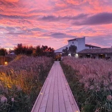 Week-end Gourmand en Camargue aux Saintes-Maries-de-la-Mer en région PACA et Corse Week-end Gourmand en Camargue aux Saintes-Maries-de-la-Mer en région PACA et Corse