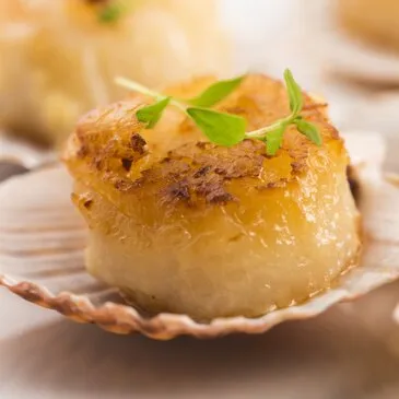 Urbain en région Centre Urbain en région Centre