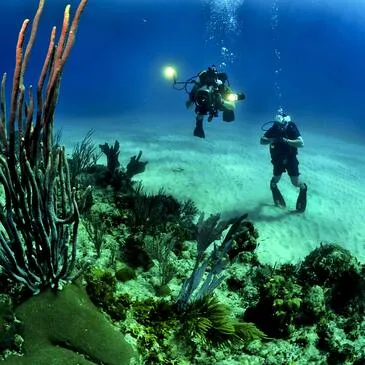Baptême de Plongée près de Valenciennes en région Nord-Pas-de-Calais Baptême de Plongée près de Valenciennes en région Nord-Pas-de-Calais