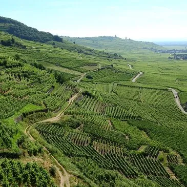 Issenheim, à 25 min de Mulhouse, Haut rhin (68) - Baptême en ULM et Autogire Issenheim, à 25 min de Mulhouse, Haut rhin (68) - Baptême en ULM et Autogire