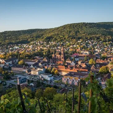 Baptême en ULM et Autogire proche Issenheim, à 25 min de Mulhouse Baptême en ULM et Autogire proche Issenheim, à 25 min de Mulhouse