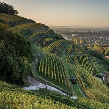 Sport Aérien en région Alsace